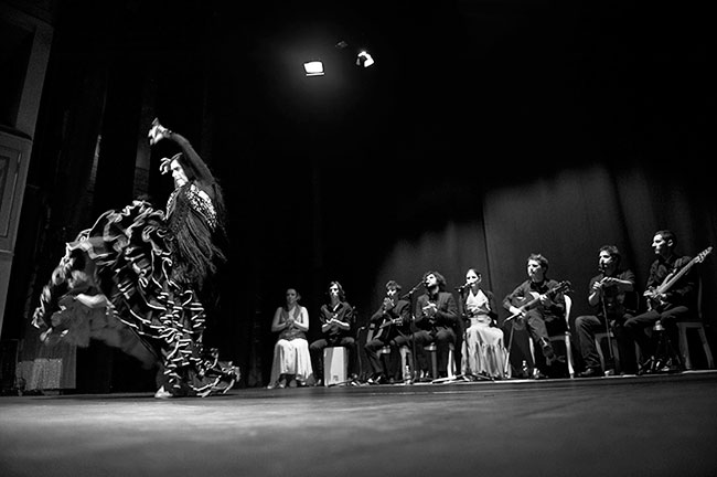 Flamenco ©Paolo Barbuio 2013