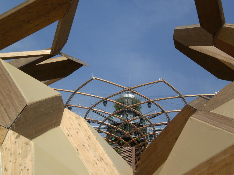 La sommità dell’Albero della vita, simbolo dell’Expo, fotografato tra strutture di legno, il materiale in cui sono realizzati molti padiglioni