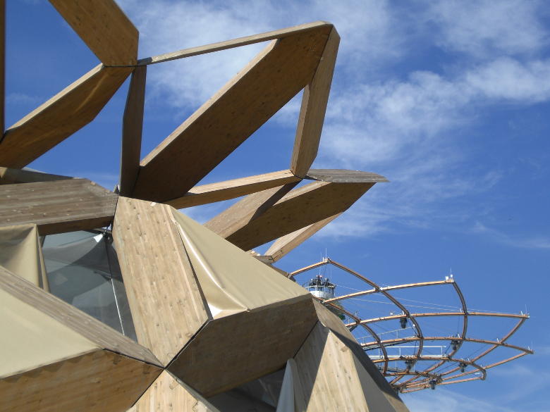 Una vista sull’Albero della vita e il legno, elemento tipico di questo Expo, dalla terrazza del padiglione Vanke | Osservatorio Digitale