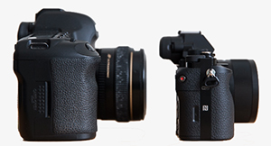 Canon 5D MkIII vs Sony 7 MkII