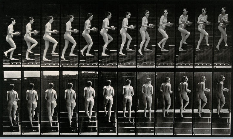 Studio sul movimento umano, foto di Eadweard Muybridge
