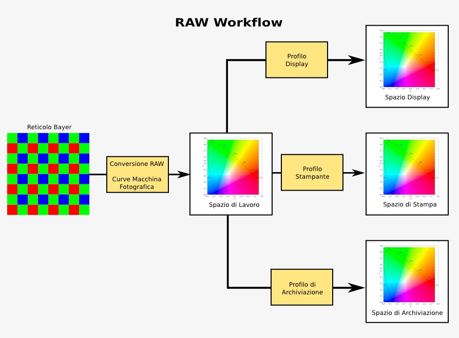 RAW Workflow