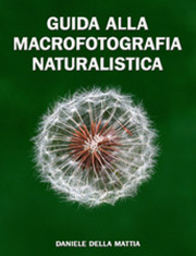 Guida alla Macro Fotografia Naturalistica