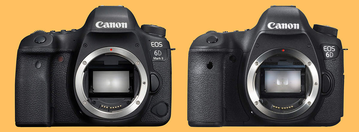 Canon EOS 6D Mark II e EOS 6D osservatoriodigitale.it
